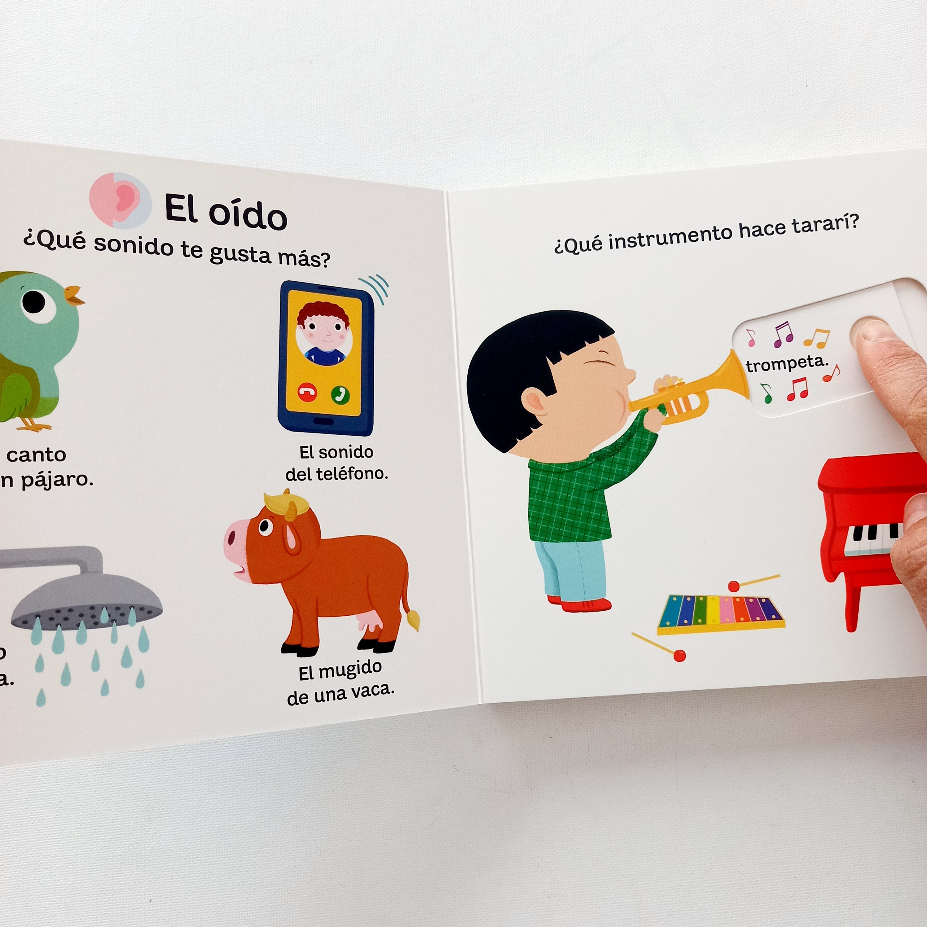 Mi libro de los 5 sentidos. Pequeños curiosos Mi libro de los 5 sentidos. Pequeños curiosos